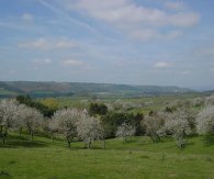 Teme Valley in bloom