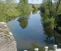 River Teme at the height of summer