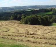 Haymaking Shelsley Beauchamp