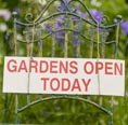 CLIFTON OPEN GARDENS WEEKEND