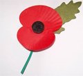 REMEMBRANCE DAY IN THE PARISHES